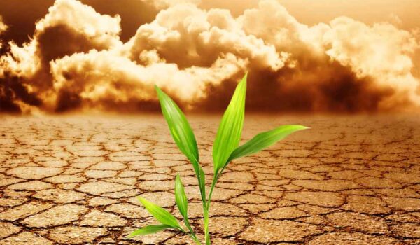 خشکسالی